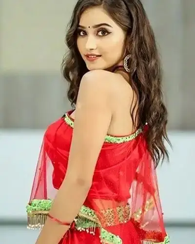 Call Girls Service Shorapur